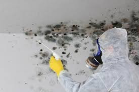 Best Air Quality Testing for Mold Spores  in Mifflinburg, PA